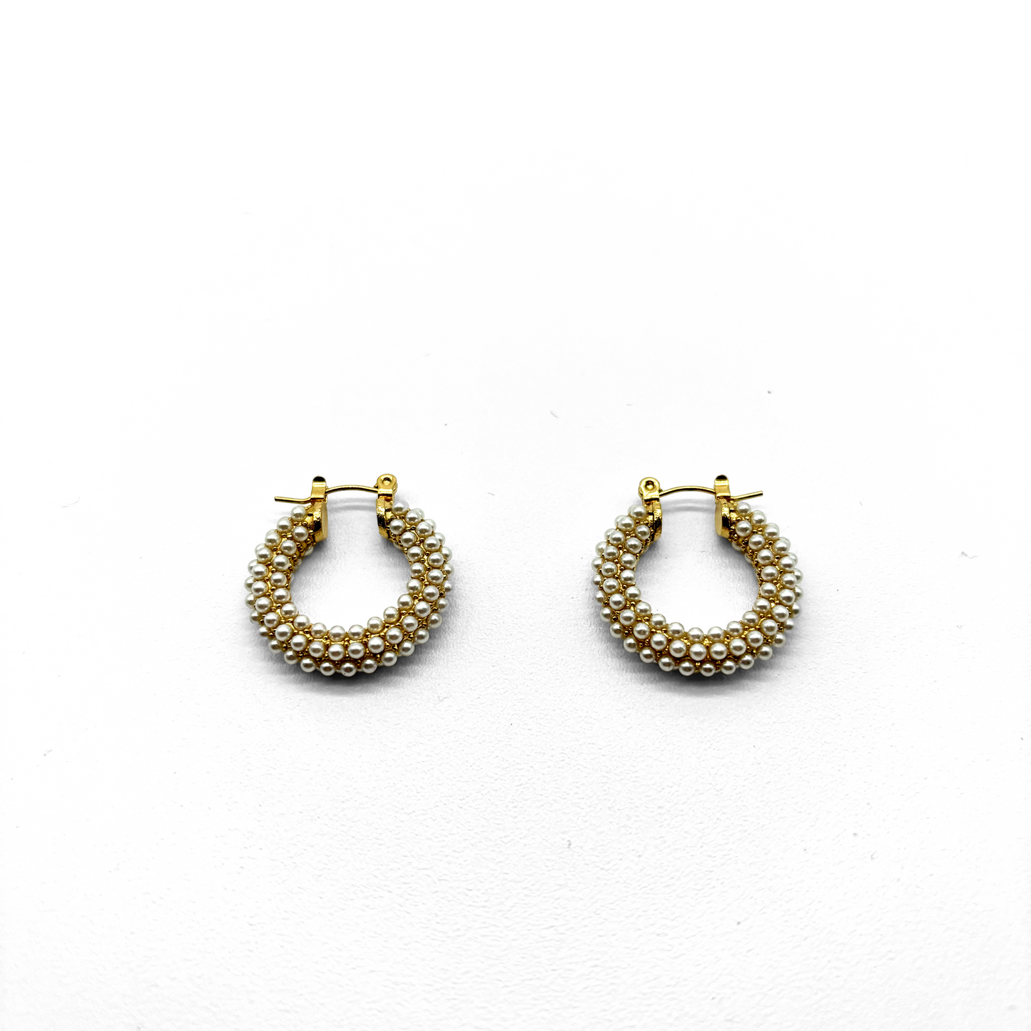 Aretes ARNIC